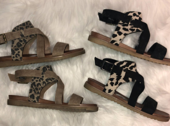 Very G Leopard & Cow Black or Tan Jayla